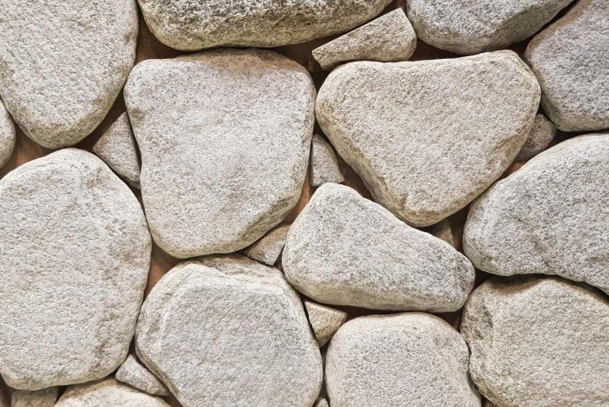 серебрит галтованный 