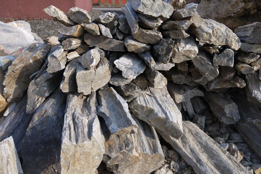 Ландшафтный камень - Окаменелое дерево - 5