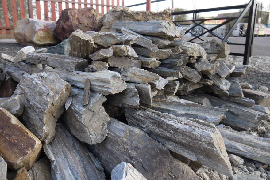 Ландшафтный камень - Окаменелое дерево - 8